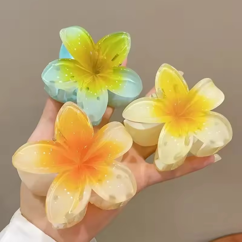  Bohemia Large Flower Acrylic – Women'S Accessories Accessorize Bewertung und Preis