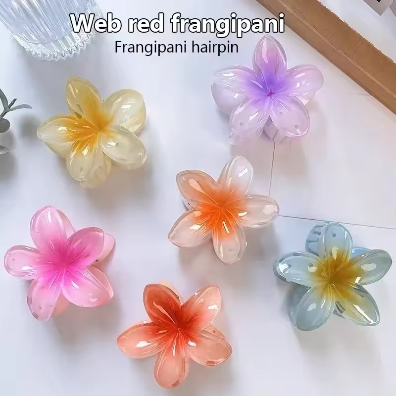  Bohemia Large Flower Acrylic – Women'S Accessories Accessorize Bewertung und Preis